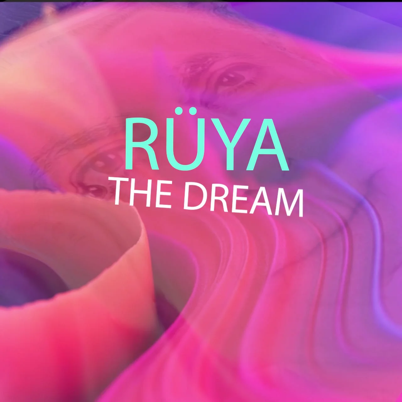 Bedrettin Şimşek animasyonu: ruya the dream